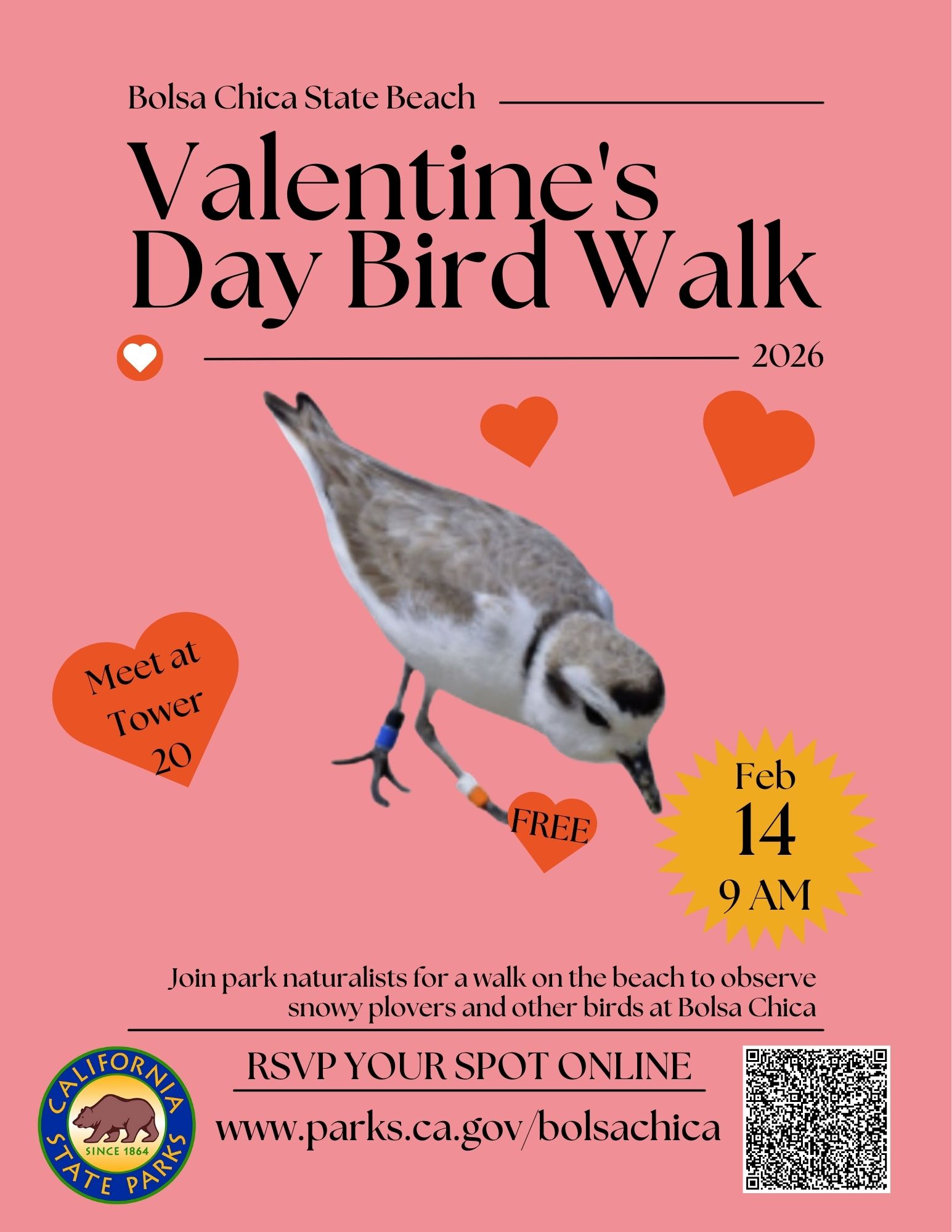 Bolsa Chica Valentine's Day Bird Walk 2026 Flyer